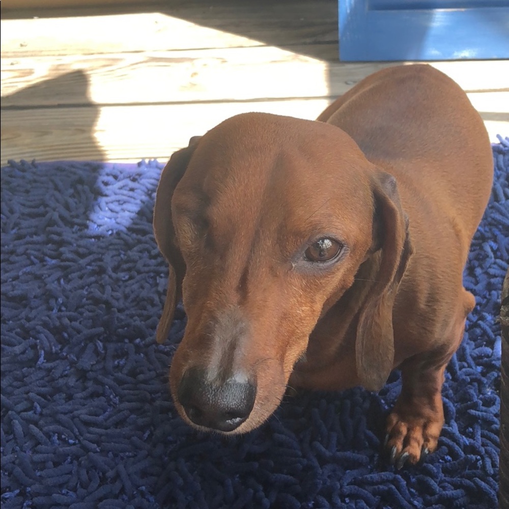 Meet your Posher, Kerri